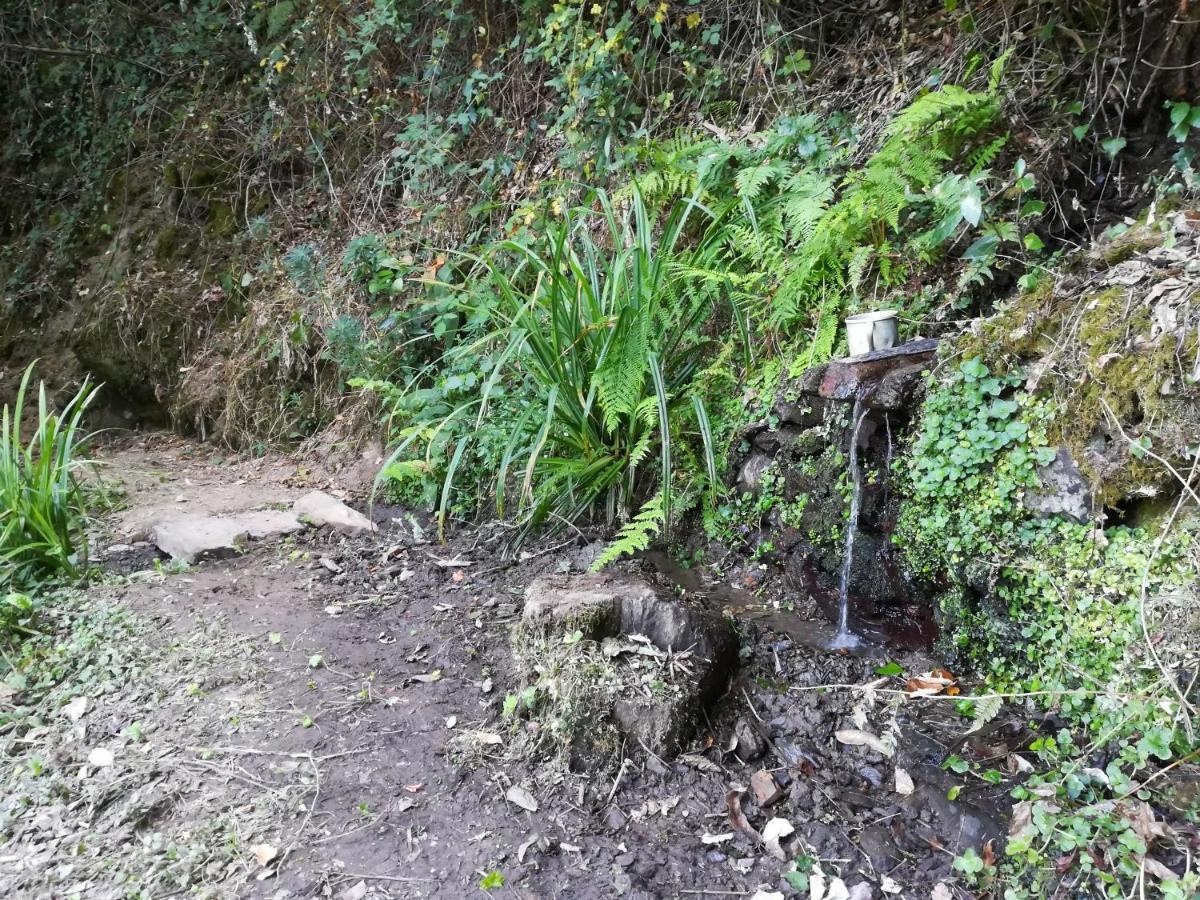 Quinta Da Portelada Peso da Régua Dış mekan fotoğraf
