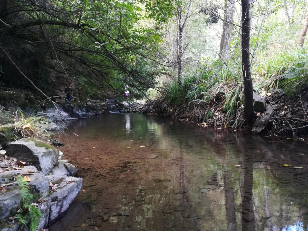 Quinta Da Portelada Peso da Régua Dış mekan fotoğraf