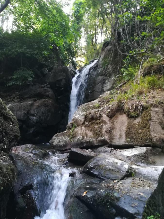 Quinta Da Portelada Peso da Régua Dış mekan fotoğraf