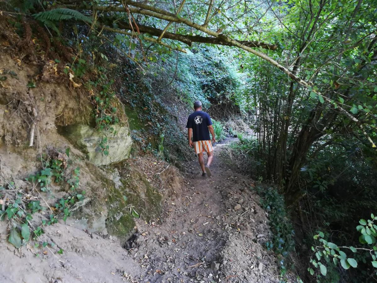 Quinta Da Portelada Peso da Régua Dış mekan fotoğraf