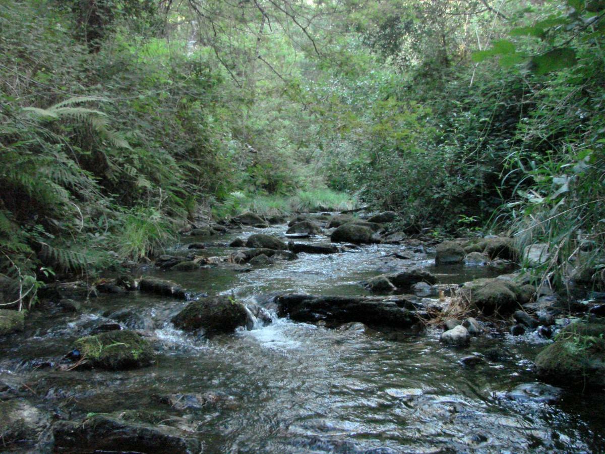 Quinta Da Portelada Peso da Régua Dış mekan fotoğraf