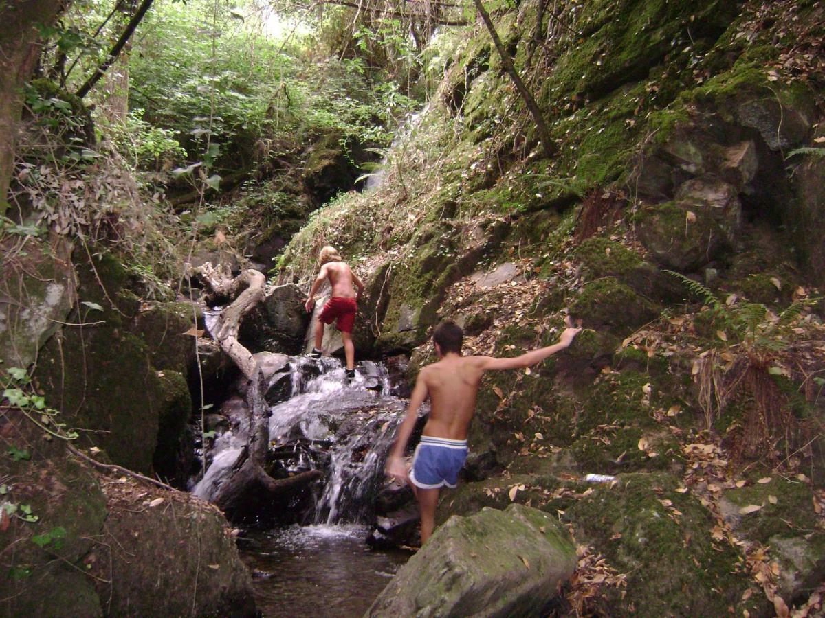 Quinta Da Portelada Peso da Régua Dış mekan fotoğraf