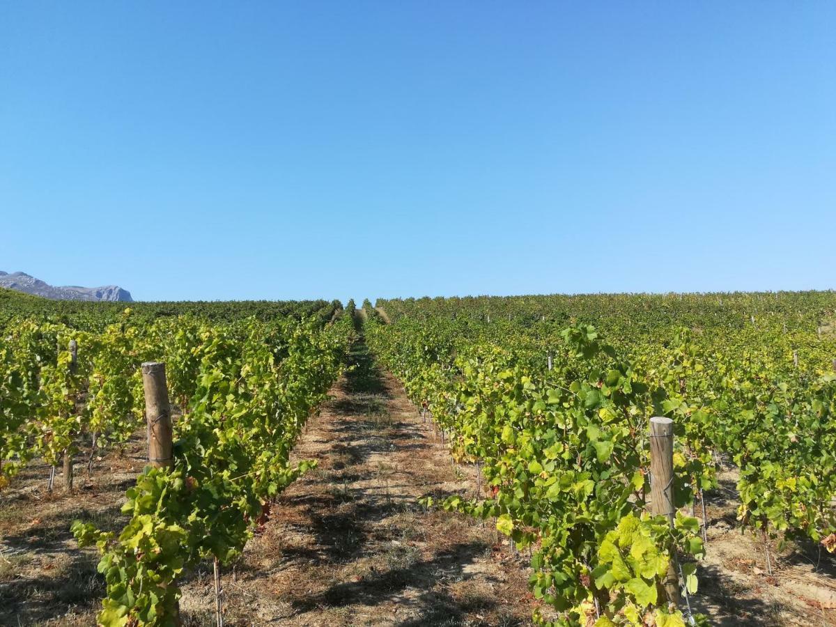 Quinta Da Portelada Peso da Régua Dış mekan fotoğraf